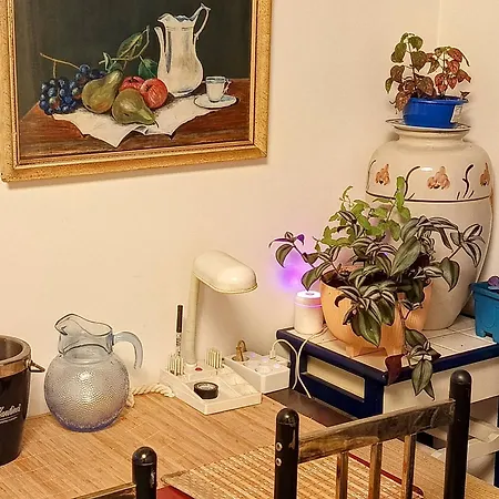 Jupiter 아파트 스플리트